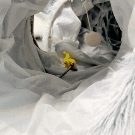 3 in 1 Plüschkatzenbett, Tunnel und Spielzeug